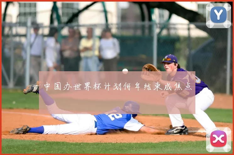 中国办世界杯计划何年结束成焦点