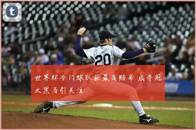 世界杯冷门球队获最高赔率 成夺冠大黑马引关注